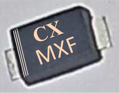 M1F~M7F